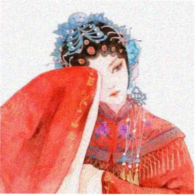 观众北陆的雪头像